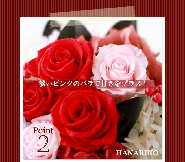 ����󥸡֥�ӡ���åɡ�/�ץꥶ���֥ɥե����ե�