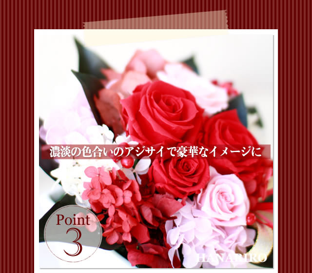 ����󥸡֥�ӡ���åɡ�/�ץꥶ���֥ɥե����ե�