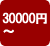�ԉ��|�t�����[�M�t�g�|�C���^�[�l�b�g��z�ԉ�����Ԃqi�qo�|30000�~�`�t�����[�M�t�g
