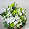 ���֥���󥸥��ȡ֤�����ߡ�����������󥸡���ϡˡ�