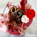 ����󥸡֥��奨�꡼�ϡ��ȡס��ץꥶ���֥ɥե����ե�