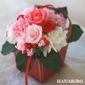 ����󥸡֥��塼�ƥ��ס��ץꥶ���֥ɥե����ե�
