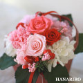 ����󥸡֥��塼�ƥ��ס��ץꥶ���֥ɥե����ե�
