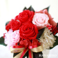 ����󥸡֥�ӡ���åɡס��ץꥶ���֥ɥե����ե�