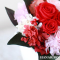 ����󥸡֥�ӡ���åɡס��ץꥶ���֥ɥե����ե�