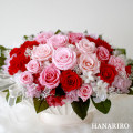 �ץꥶ���֥ɥե��֥����������� 