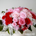 �ץꥶ���֥ɥե��֥����������� 