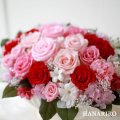 �ץꥶ���֥ɥե��֥����������� 