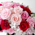 �ץꥶ���֥ɥե��֥����������� 