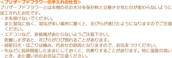 �ֲ��ݥե����եȡݥ��󥿡��ͥå����۲ֲ������RiRo�����۲ֲ�����֣�i��o�Σ�����ŵ�ʤ���������ˡ�ˤĤ��ơ�