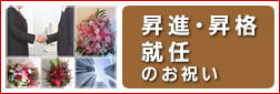 昇進・昇格・就任のお祝いに贈るフラワーギフト
