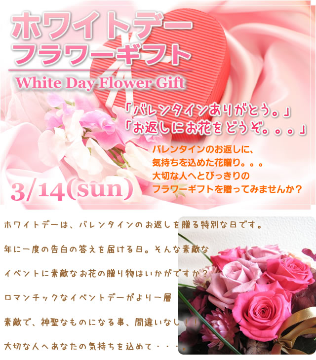 �ۥ磻�ȥǡ��Υե����ե�