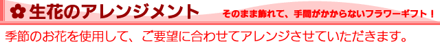 �ۥ磻�ȥǡ��ե����եȡ����֤Υ���󥸥���
