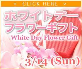 バレンタインのフラワーギフト-花屋-フラワーギフト-インターネット宅配花屋さん花RiRo