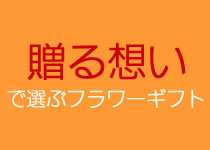 贈る想いで選ぶフラワーギフト