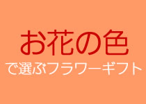 お花の色で選ぶフラワーギフト