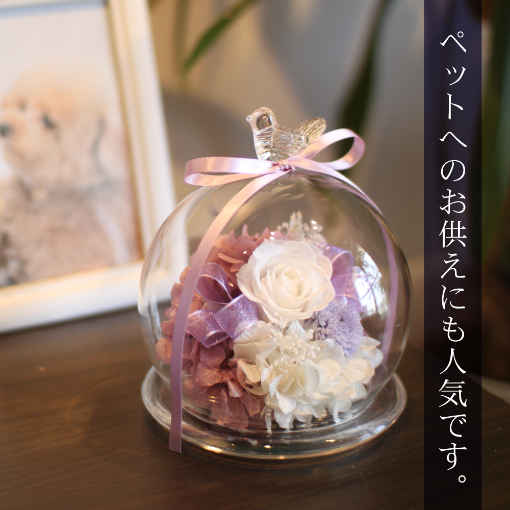 ドームすみれ/お悔み・お供え/プリザーブドフラワー プリザーブド  