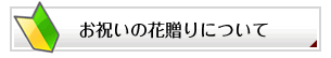 お花を贈る際のマナーについて-花屋-フラワーギフト-インターネット宅配花屋さん花RiRo