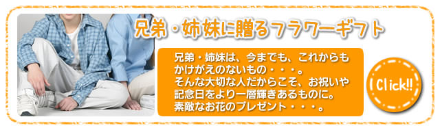 兄弟・姉妹に贈るフラワーギフト