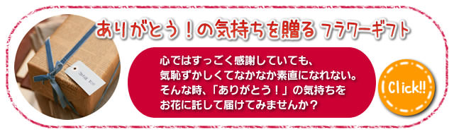 ありがとう！の気持ちを贈るフラワーギフト