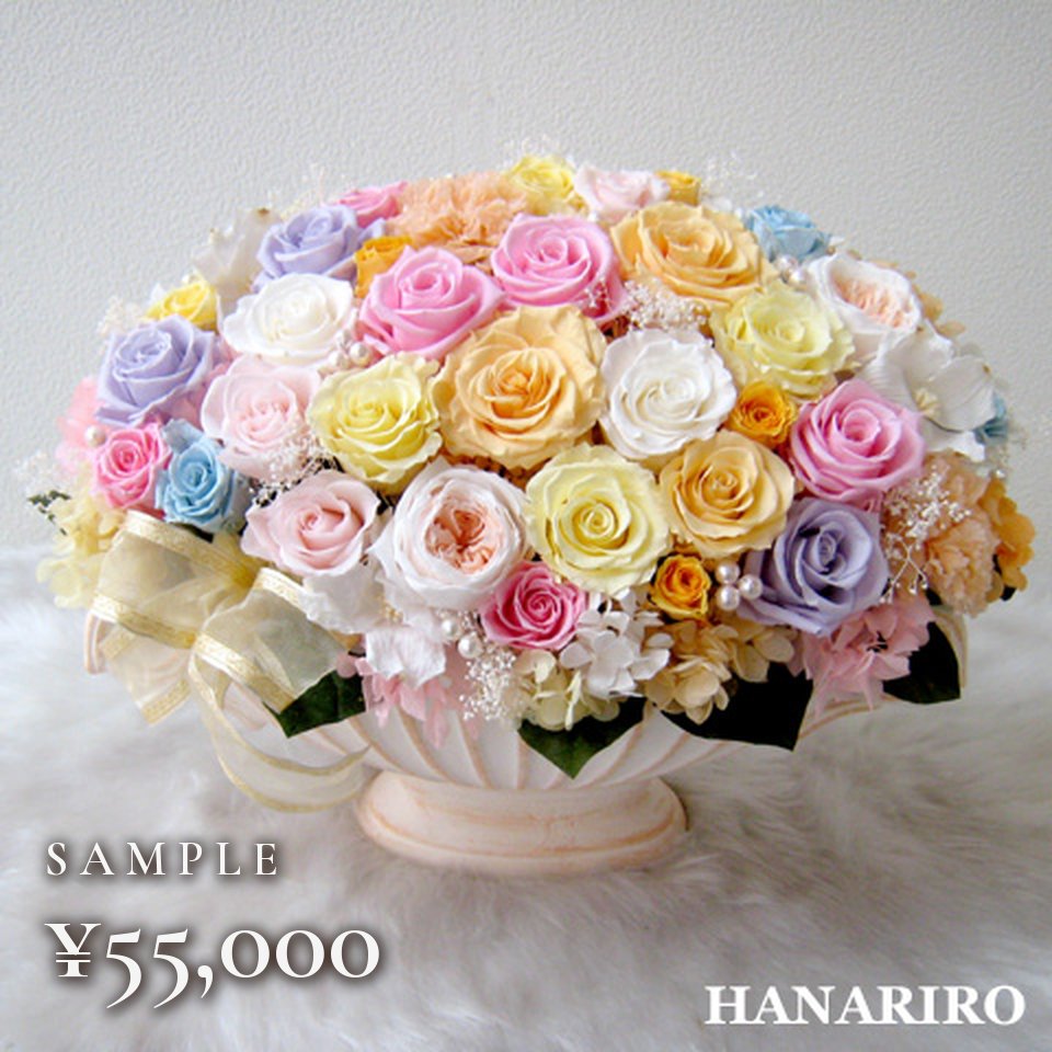 パステル系（p50000-3）