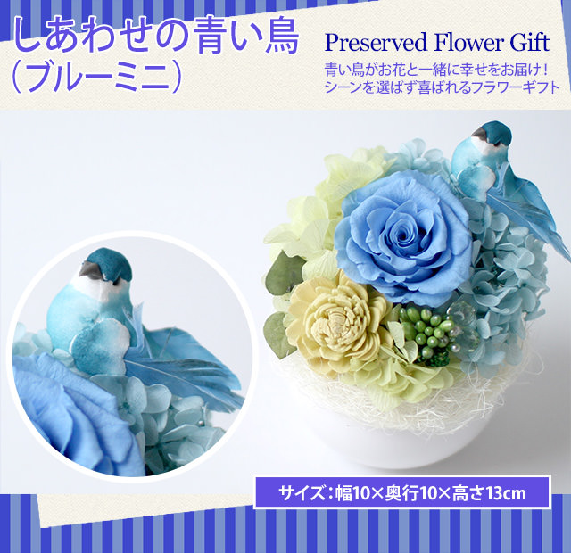 Amazon.co.jp: Lulu's ルルズ プリザーブドフラワー ウッド