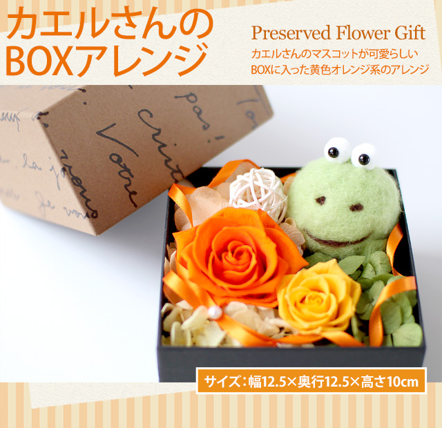 アレンジ「カエルさんのBOXアレンジ」-プリザーブドフラワーギフト-花屋-フラワーギフト-インターネット宅配花屋さん花RiRo