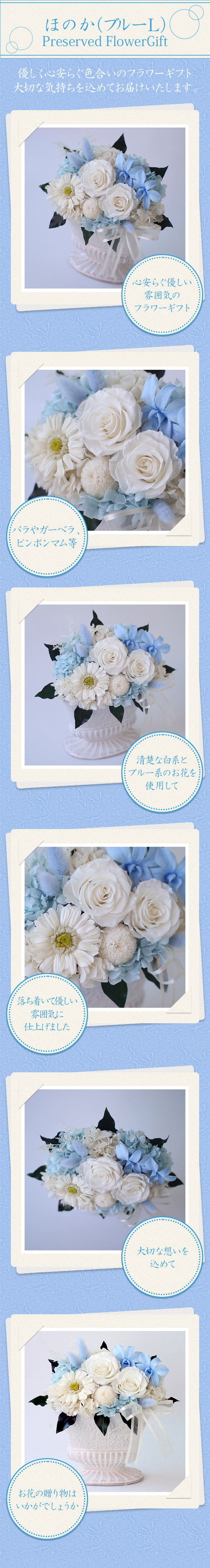 アレンジ「ほのか（ブルーL）」/プリザーブドフラワーギフト