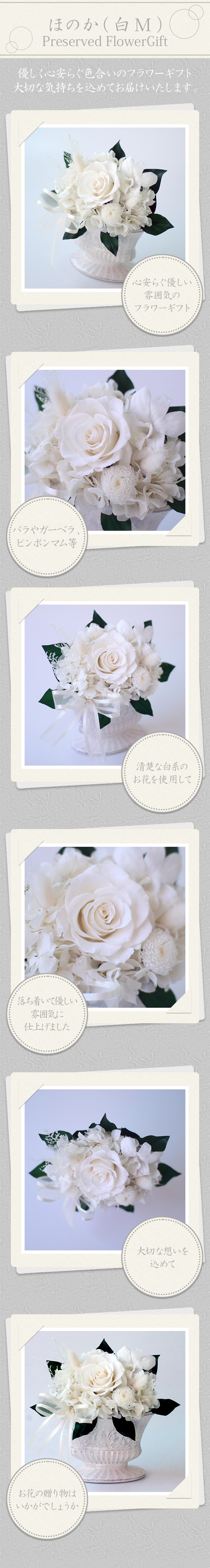 アレンジ「ほのか（白M）」/プリザーブドフラワーギフト