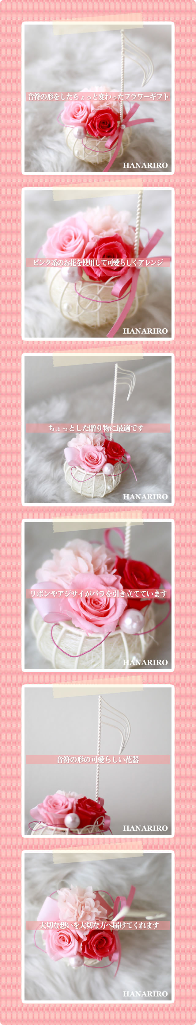 アレンジ「オンピー」/プリザーブドフラワーギフト