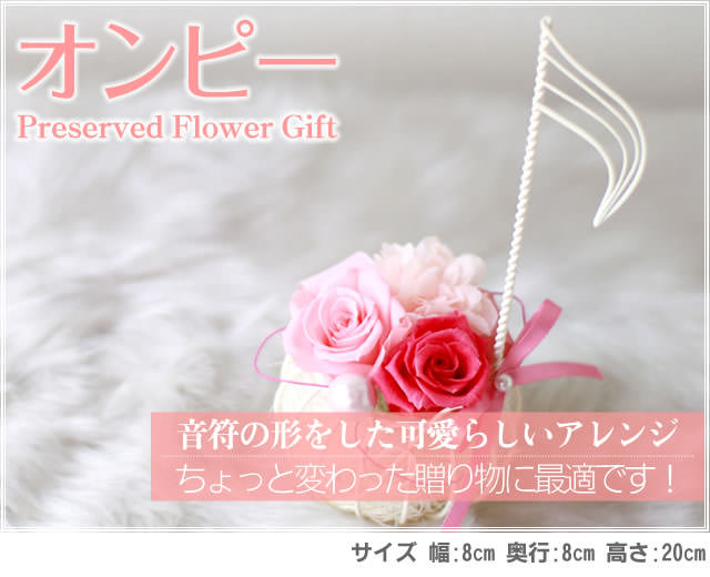 アレンジ「オンピー」-プリザーブドフラワーギフト-花屋-フラワーギフト-インターネット宅配花屋さん花RiRo