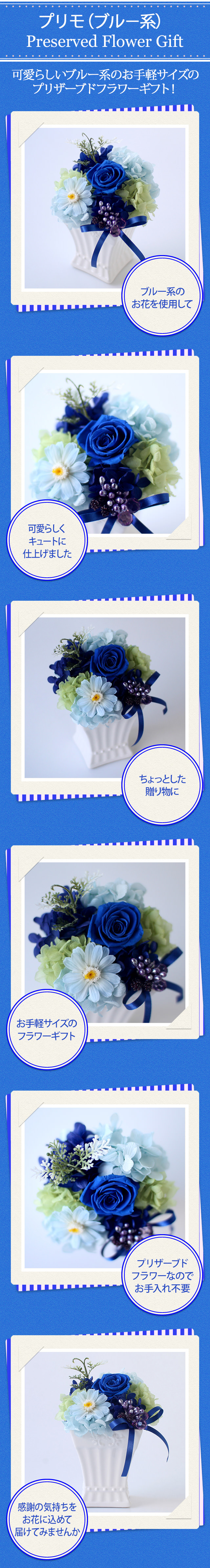 アレンジ「プリモ（ブルー系）」/プリザーブドフラワーギフト