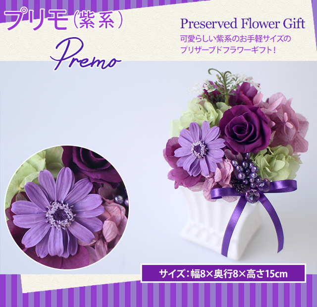 プリモ（紫系）/プリザーブドフラワー プリザーブドフラワーギフトの