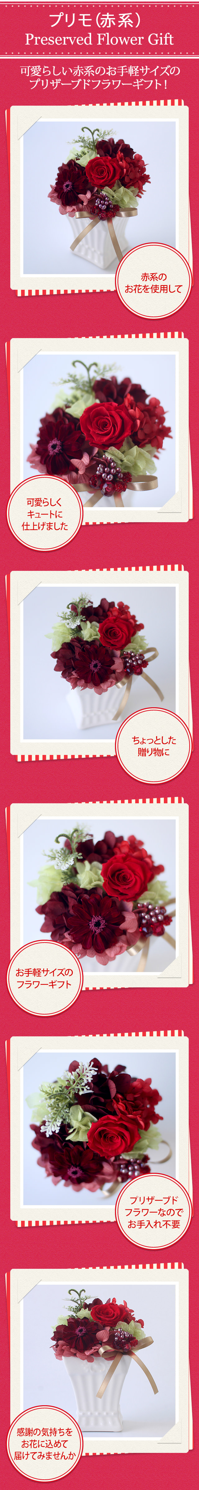 アレンジ「プリモ（赤系）」/プリザーブドフラワーギフト