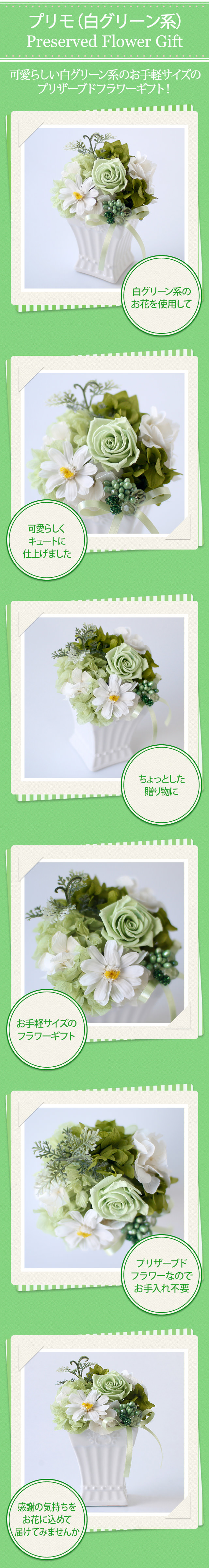 アレンジ「プリモ（白グリーン系）」/プリザーブドフラワーギフト