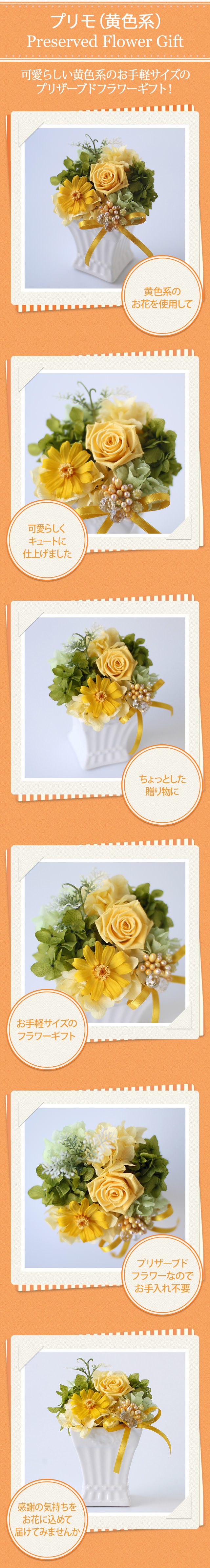 アレンジ「プリモ（黄色系）」/プリザーブドフラワーギフト