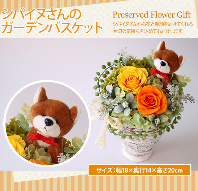 シバイヌさんのガーデンバスケット プリザーブドフラワー プリザーブドフラワーギフトの通販専門花屋 花riro ハナリロ シバイヌさんのガーデンバスケット プリザーブドフラワー プリザーブドフラワーギフトの通販専門花屋 花riro ハナリロ