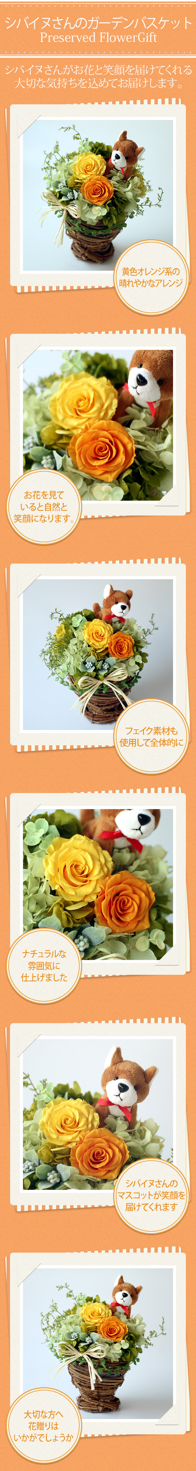 アレンジ「シバイヌさんのガーデンバスケット」/プリザーブドフラワーギフト