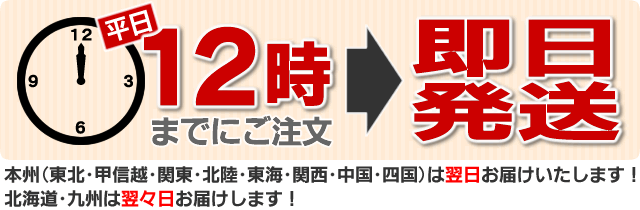 即日発送フラワーギフト-花屋-フラワーギフト-インターネット宅配花屋さん花RiRo