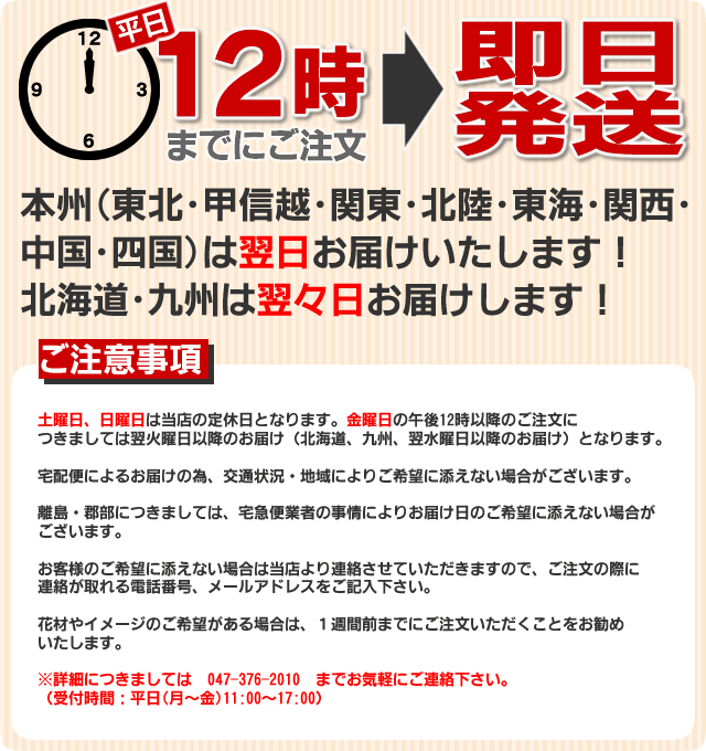 即日発送フラワーギフト-花屋-フラワーギフト-インターネット宅配花屋さん花RiRo