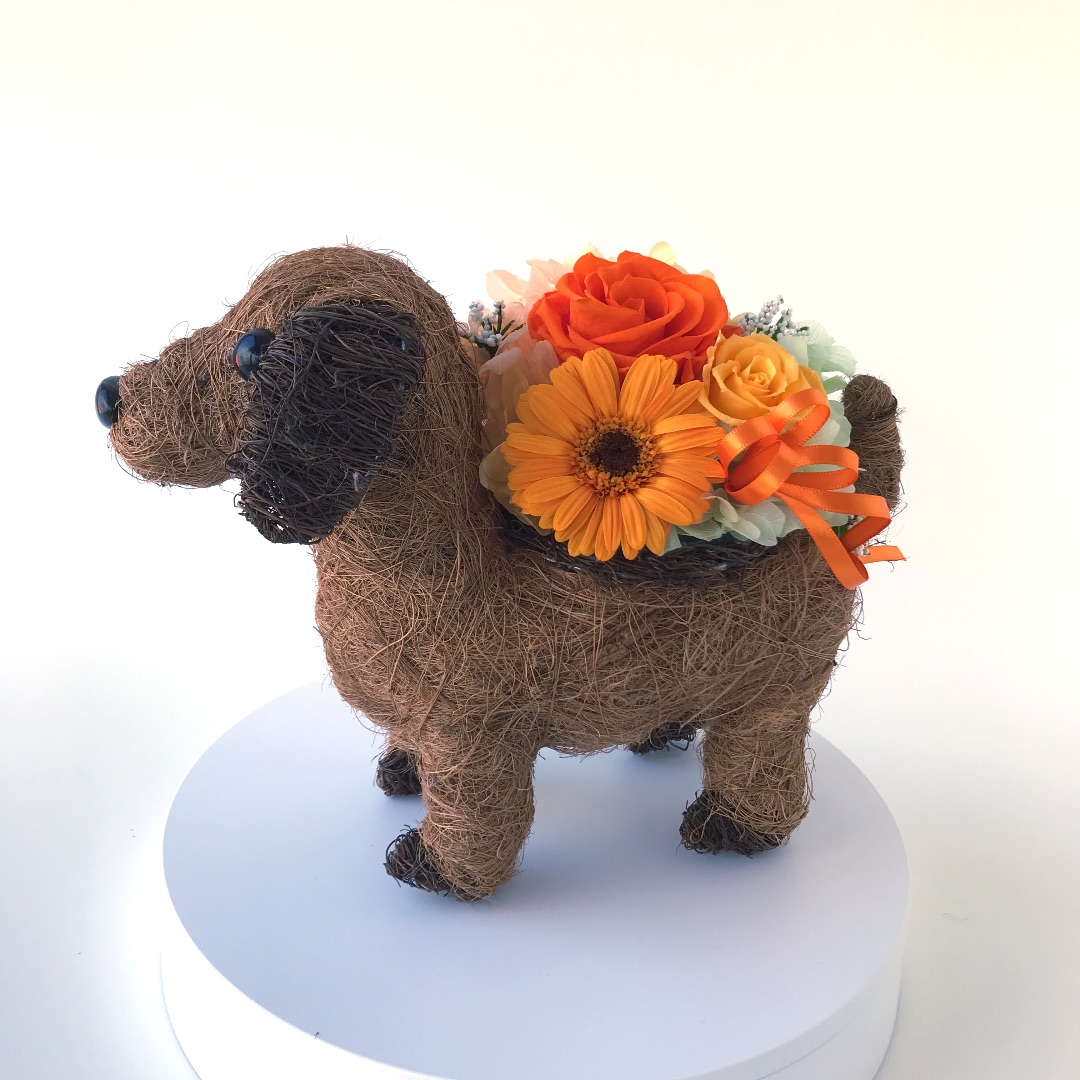 フラワーアレンジ&ダックスちゃん 犬好き還暦プレゼントにダックスのプリザーブドフラワーアレンジ
