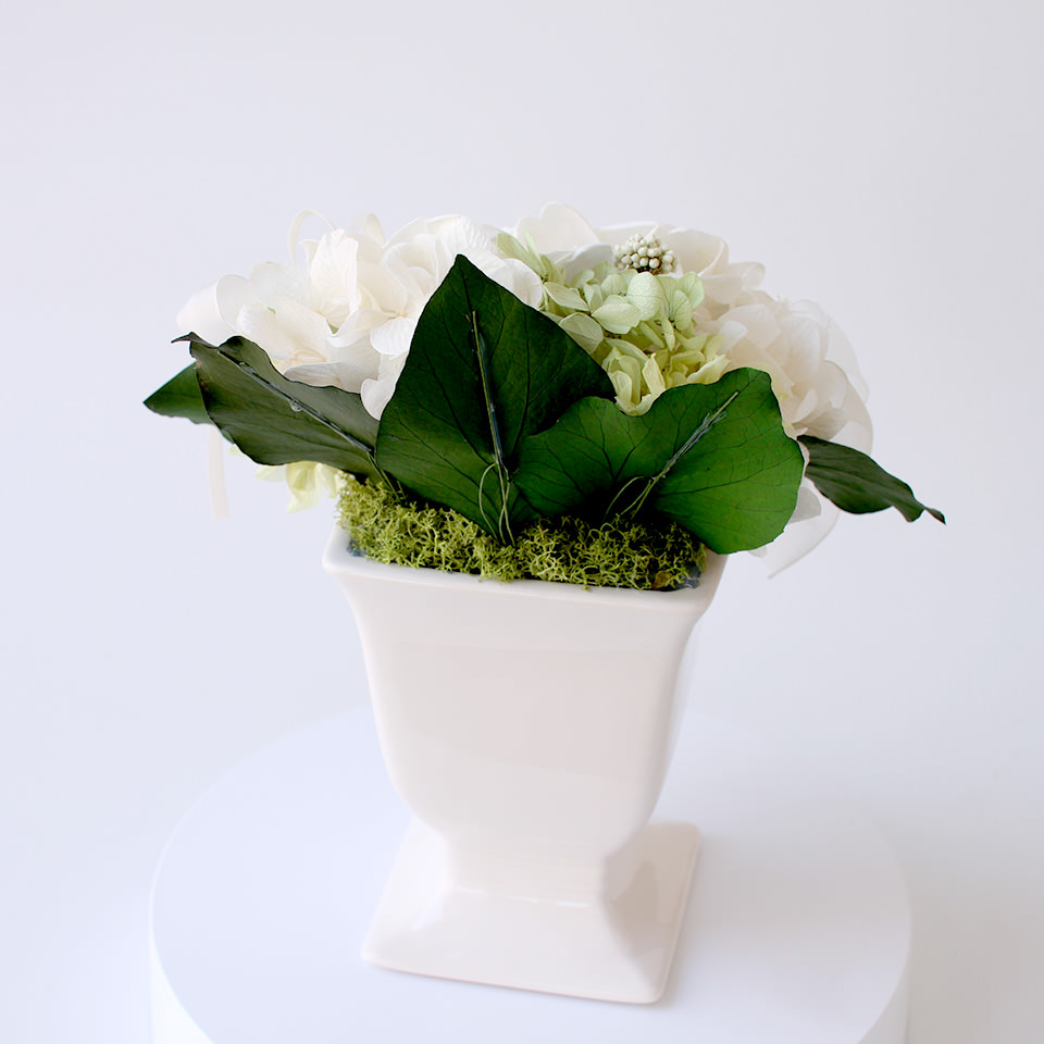 ガーデニアホワイト プリザーブドフラワー プリザーブドフラワーギフトの通販専門花屋 花riro ハナリロ ガーデニアホワイト プリザーブドフラワー プリザーブドフラワーギフトの通販専門花屋 花riro ハナリロ