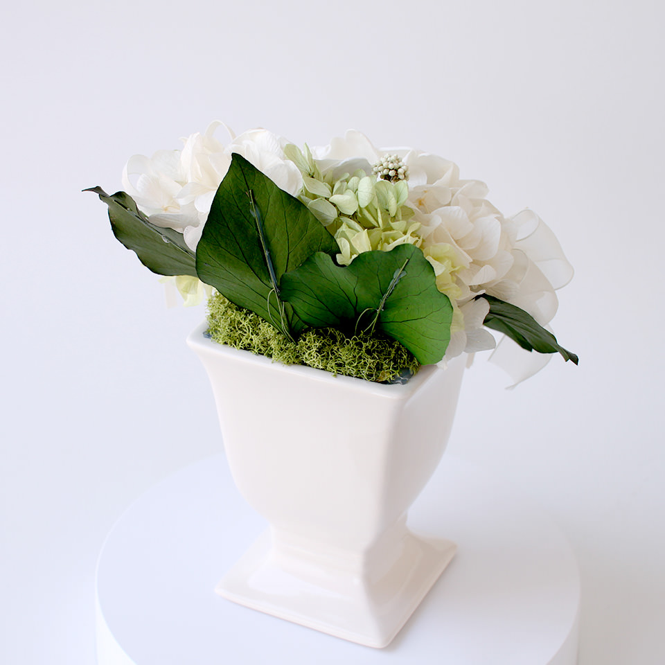 ガーデニアホワイト プリザーブドフラワー プリザーブドフラワーギフトの通販専門花屋 花riro ハナリロ ガーデニアホワイト プリザーブドフラワー プリザーブドフラワーギフトの通販専門花屋 花riro ハナリロ